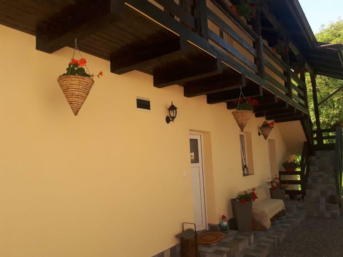 Pensiunea Casa Godja Valeni  Ngoại thất bức ảnh